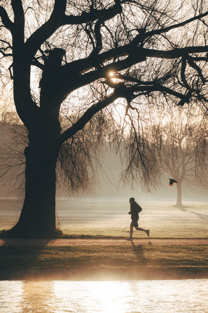 Englischer Garten in München bei Sonnenaufgang im Nebel